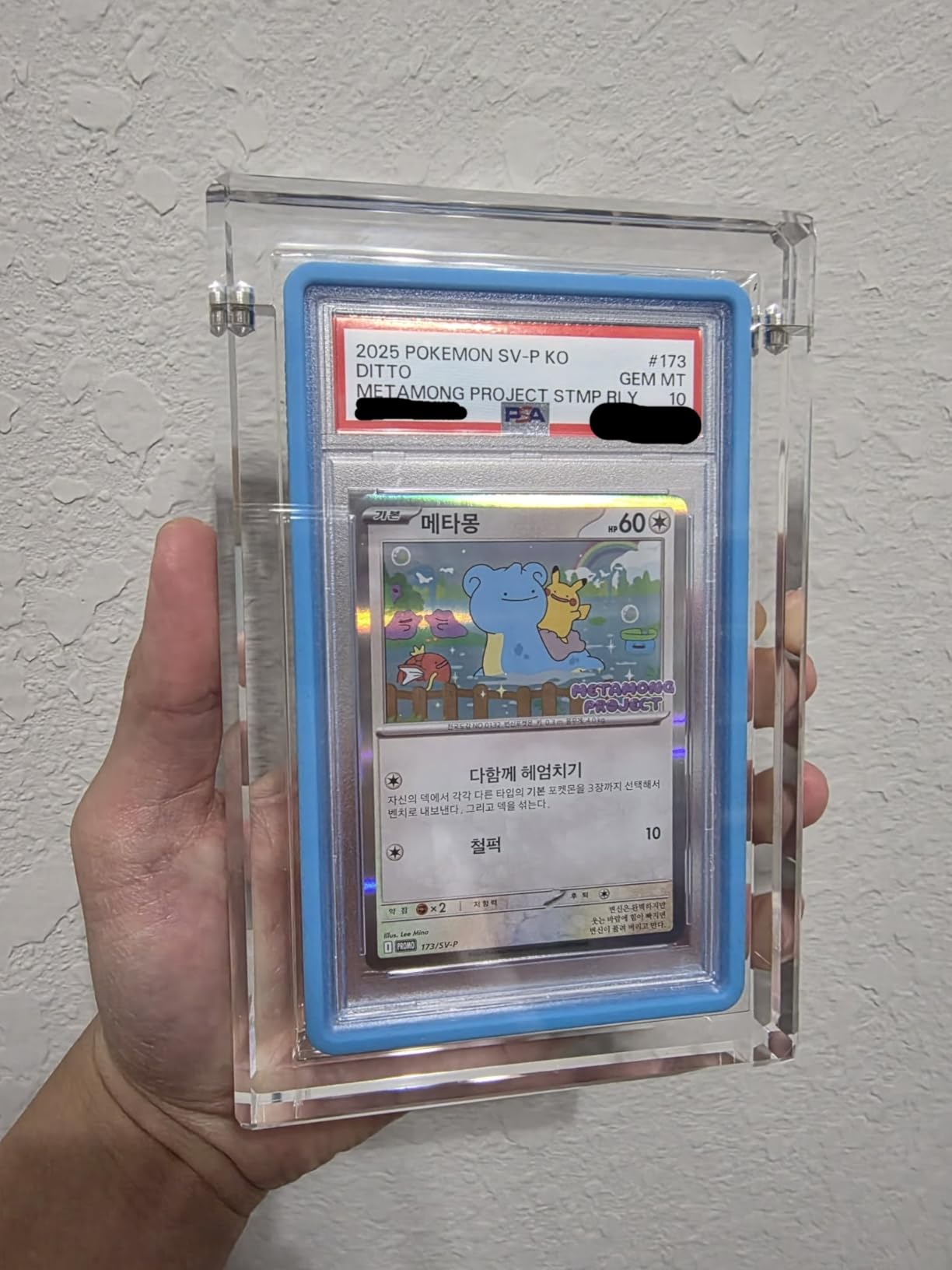 Customer photo — Clean, premium, professional display