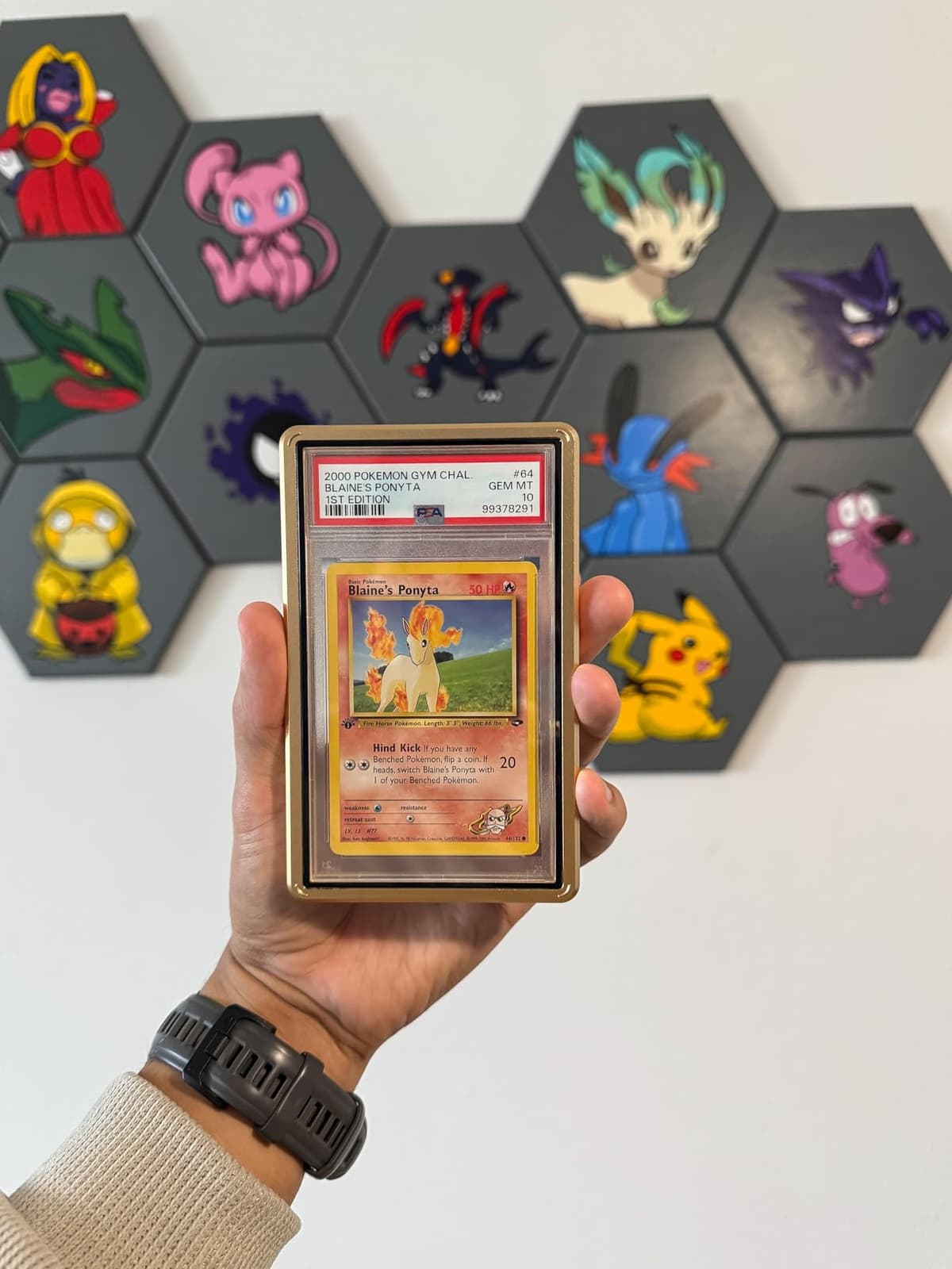 Review photo from Devon R.